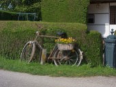 Bike flowerbox