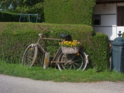 Bike flowerbox